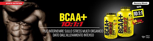 bcaa + 10: 1: 1 acides aminés à chaîne ramifiée de haute qualité et hautement concentrés en leucine, idéaux pour accélérer les temps de récupération après des entraînements intenses, produits par 4+ nutrition