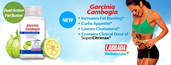 supplément de garcinia cambogia qui inhibe la synthèse des graisses en diminuant leur accumulation