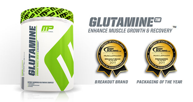 supplément de glutamine mp provenant de trois sources différentes, peptide, libre et lié à l'alanine