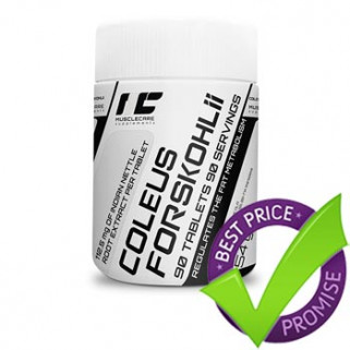 coleus forskohlii 90tab muscle care