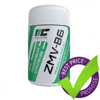 ZMV-B6 60cps muscle care