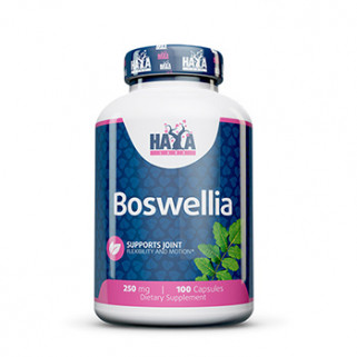 Extrait de Boswellia 250mg 100cps haya labs